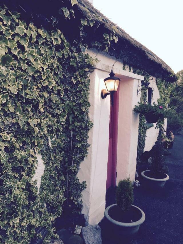 Teresas Cottage Donegal Town Exterior foto